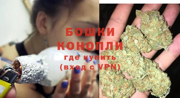 дживик Баксан