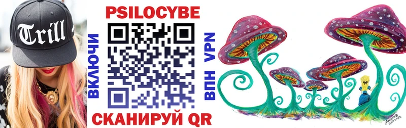ОМГ ОМГ маркетплейс  Гурьевск  Галлюциногенные грибы Magic Shrooms 