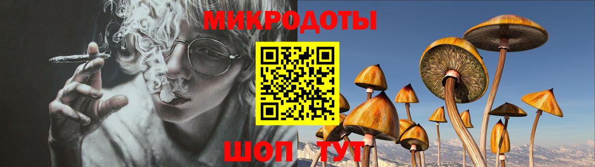 Гурьевск  Галлюциногенные грибы прущие грибы  Галлюциногенные грибы мицелий  Вход с VPN 