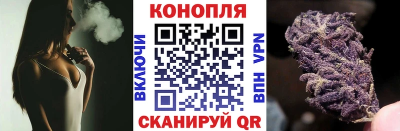 Бошки марихуана White Widow  гидра зеркало  Гурьевск  как найти закладки 