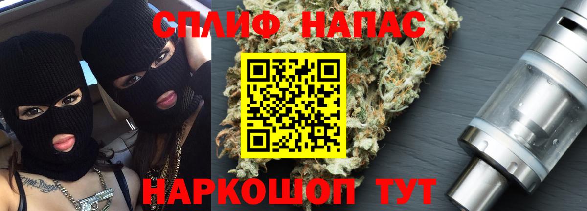 Бошки Шишки план Гурьевск